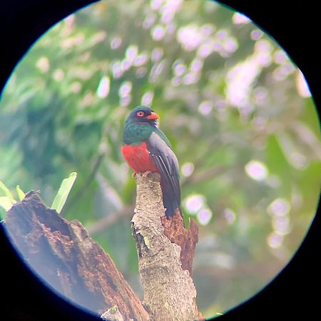 Appartamento H Et L Tortuguero Esterno foto