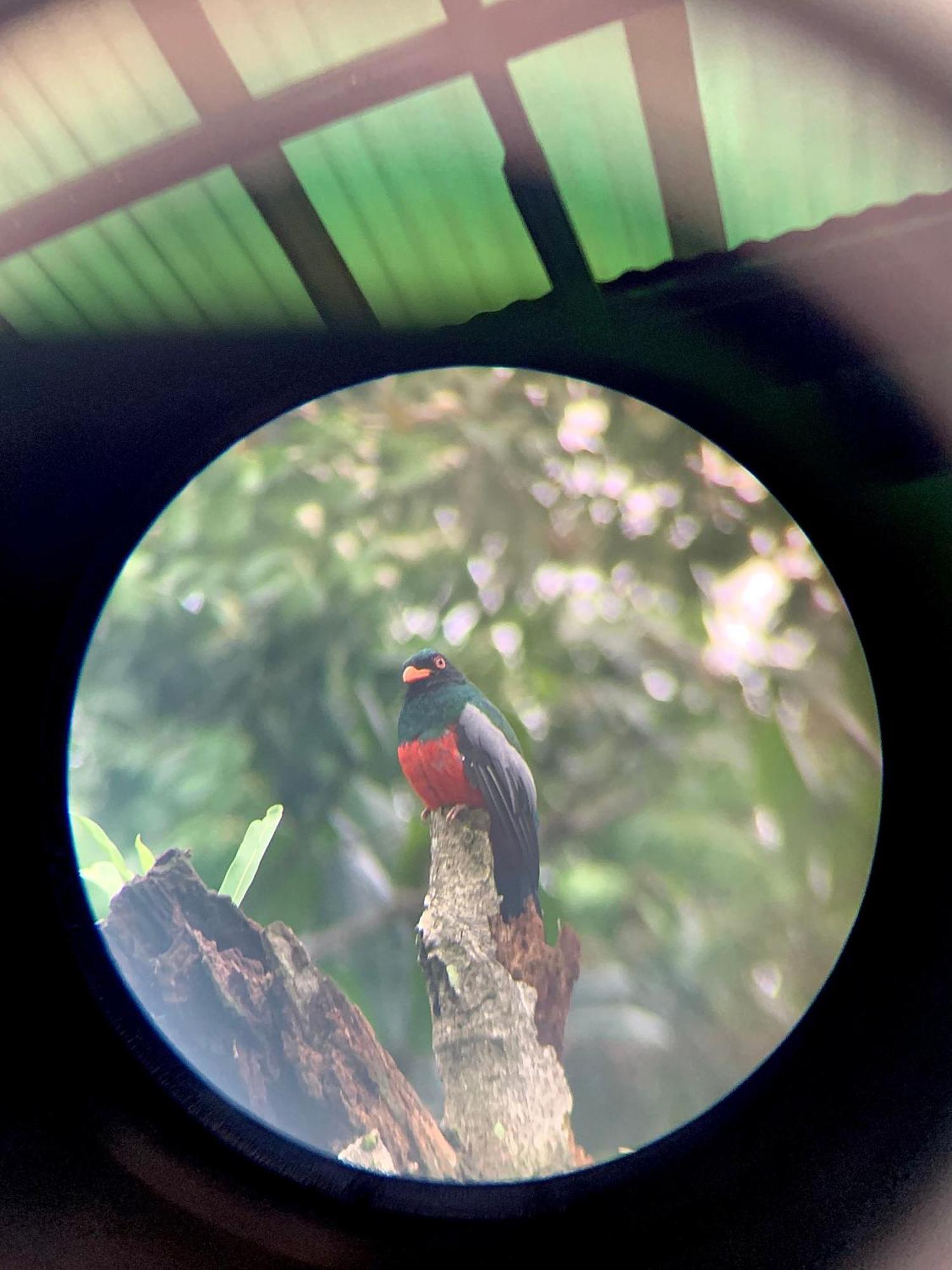 Appartamento H Et L Tortuguero Esterno foto