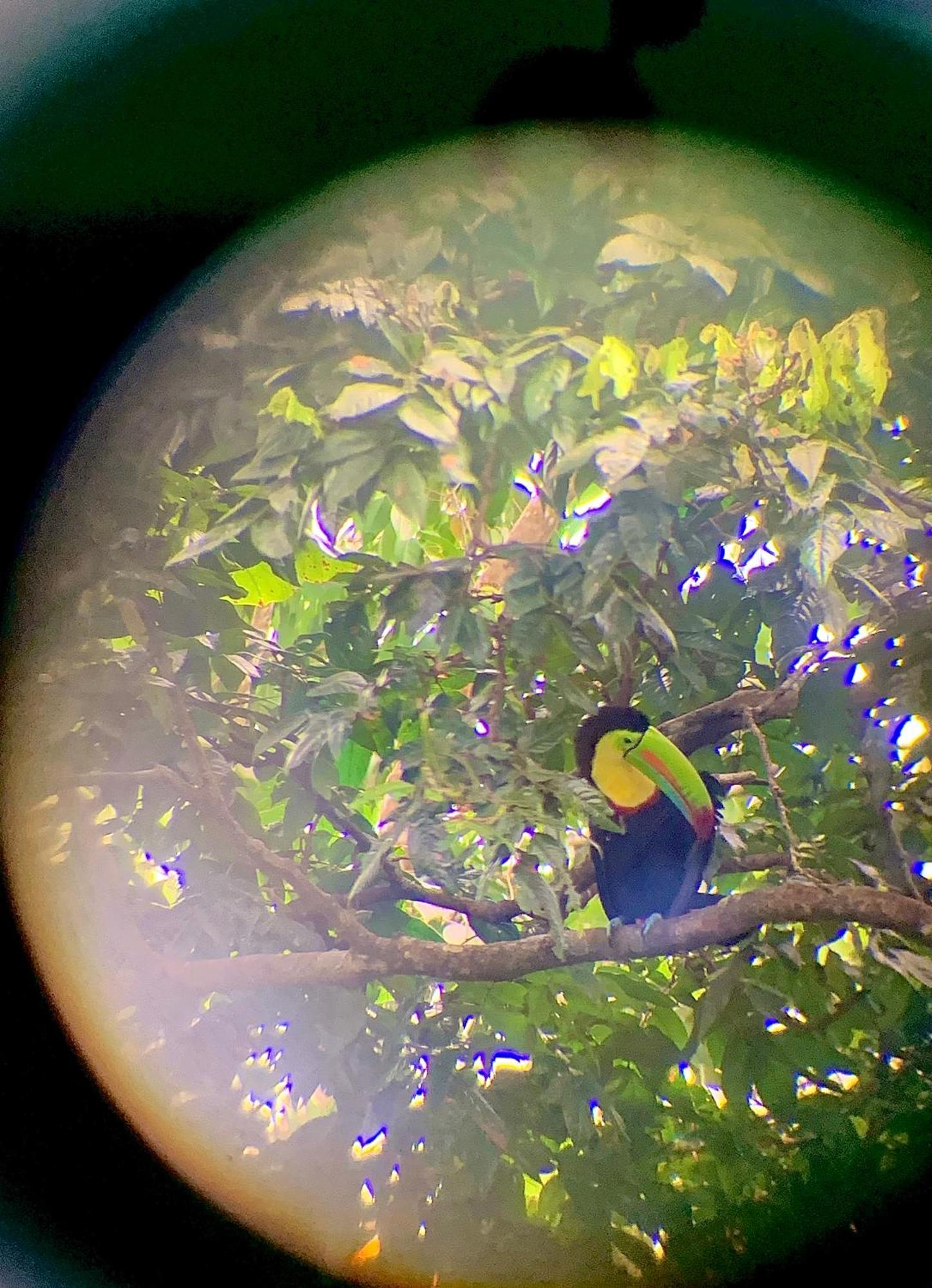 Appartamento H Et L Tortuguero Esterno foto