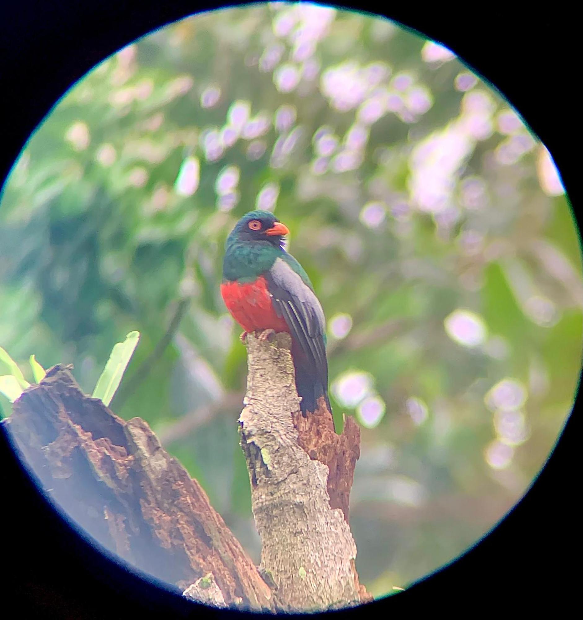 Appartamento H Et L Tortuguero Esterno foto