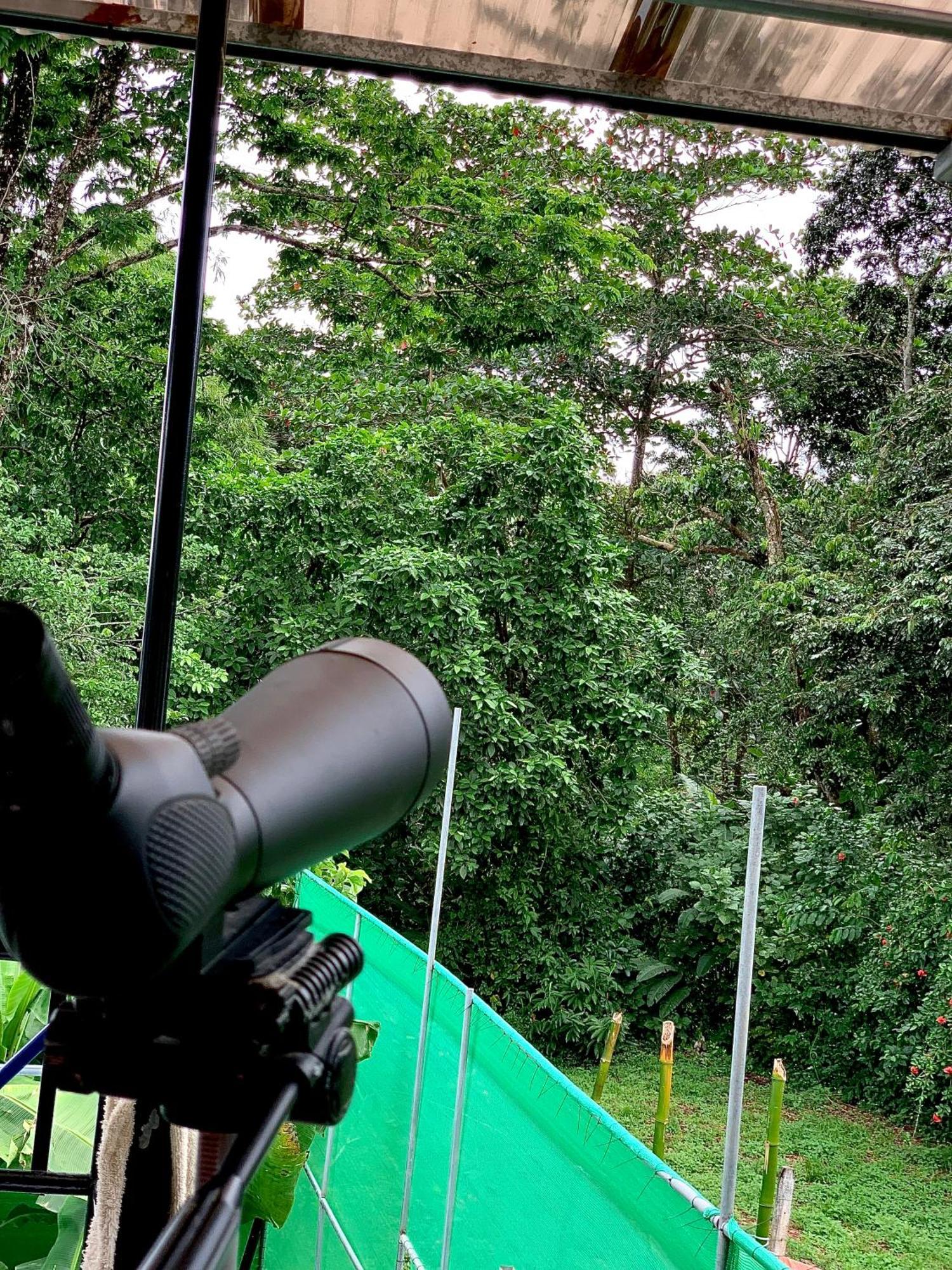 Appartamento H Et L Tortuguero Esterno foto