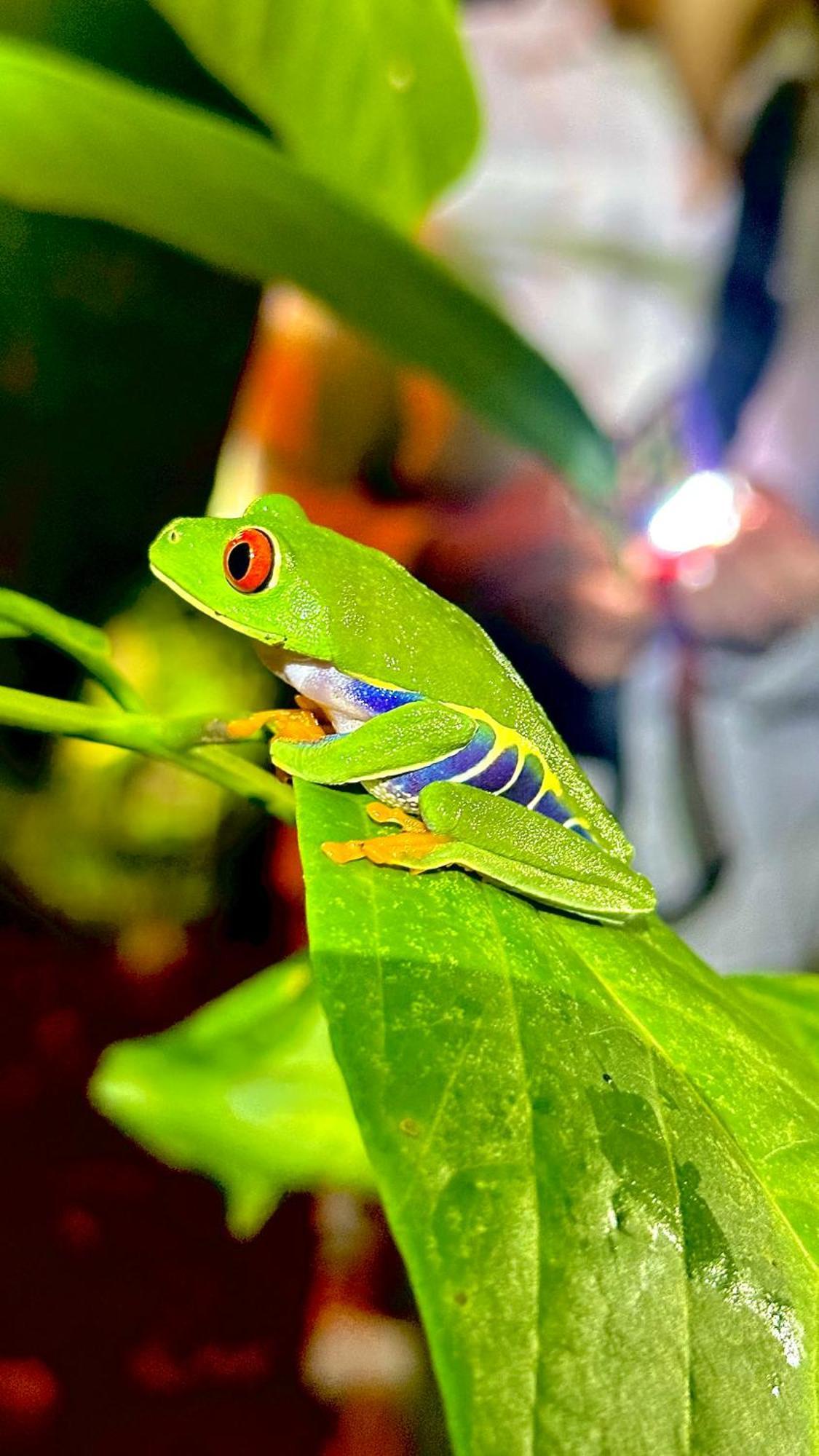 Appartamento H Et L Tortuguero Esterno foto